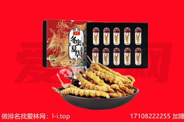 克拉玛依白碱滩回收虫草.jpg